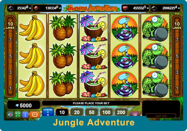 Jungle Adventure
