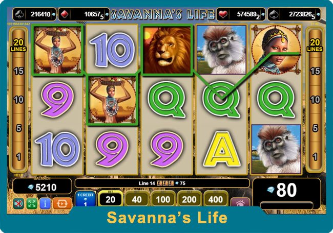 Savanna's Life