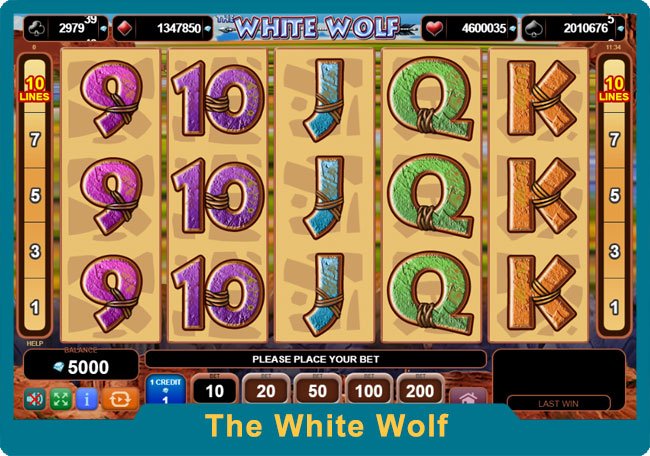 The White Wolf