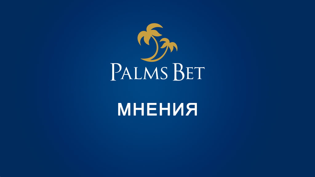 Palms bet мнения